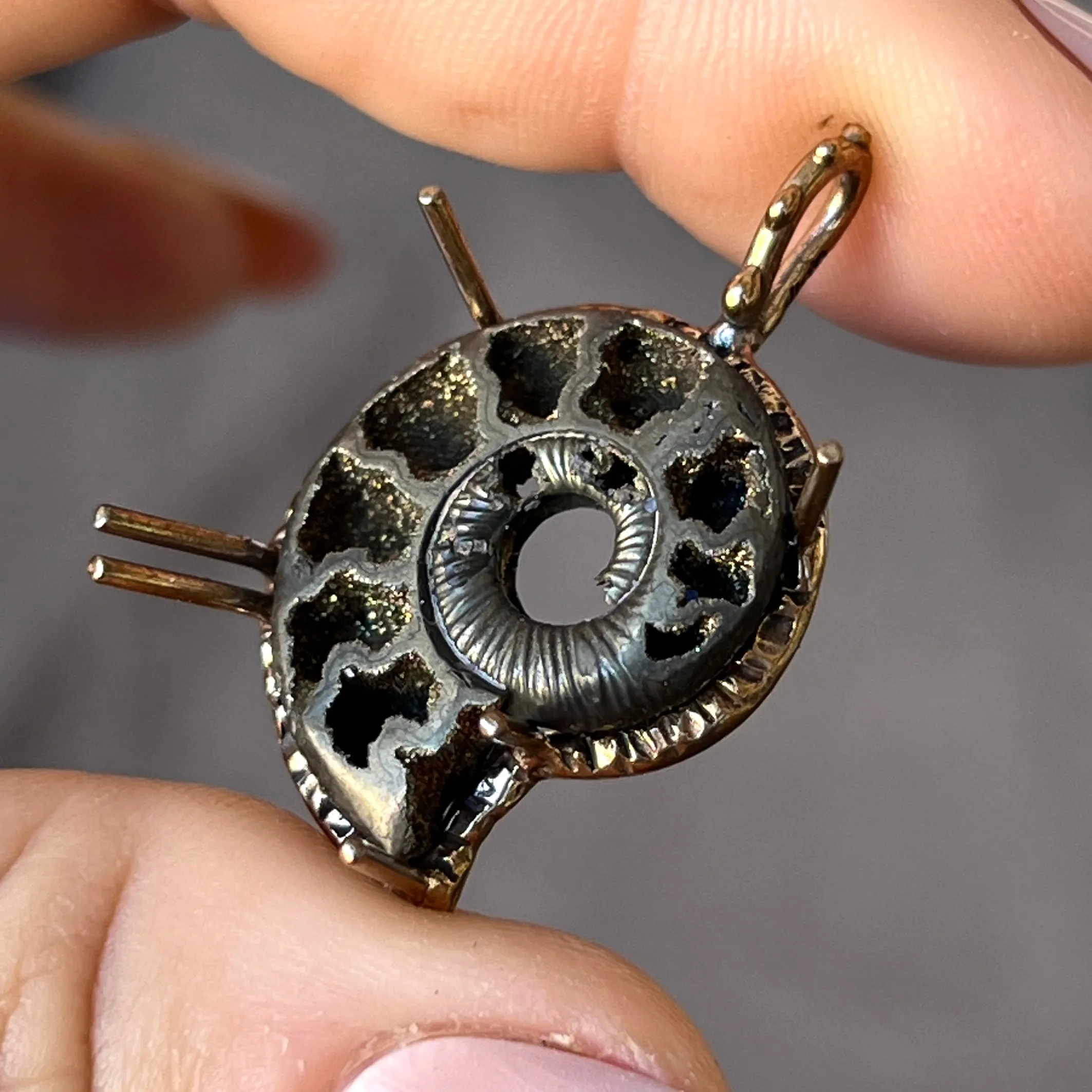 PRE-ORDER FOR SUSIE- Pyritized Ammonite Pendant