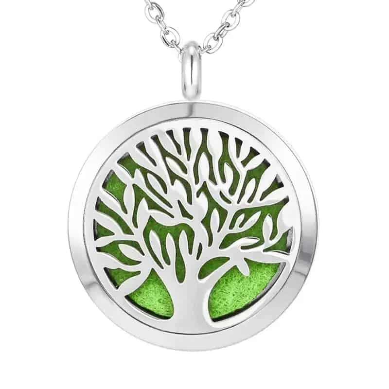Stainless Steel Aromatherapy Locket Necklaces Gift